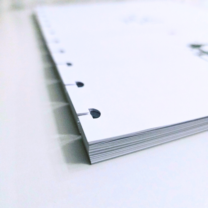 2027 Dated Planner Inserts Only | Signature Designs
