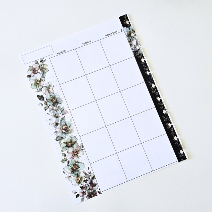 3-Month Undated Discbound Planner Inserts | Arbor Designs