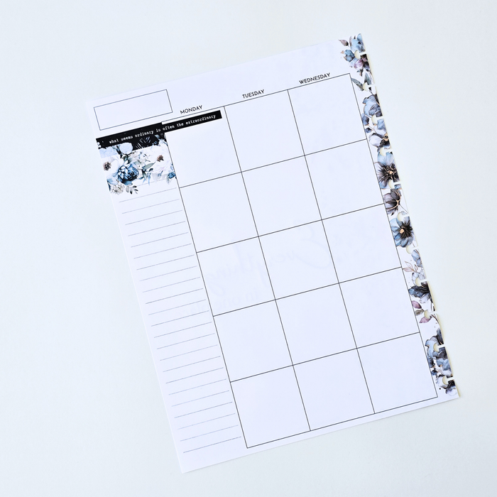 3-Month Undated Discbound Planner Inserts | Azure Blooms