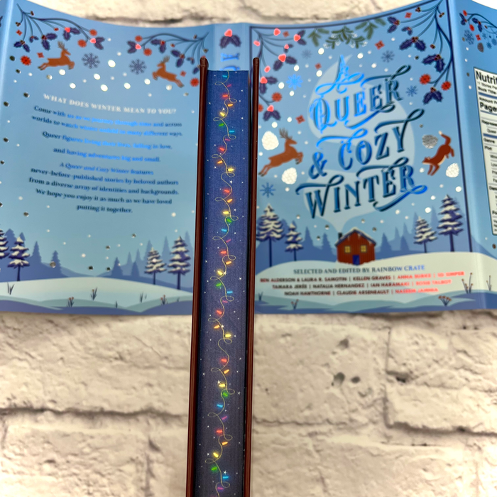 A Queer & Cozy Winter Anthology by Rainbow Crate