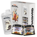 Avatar Bundle