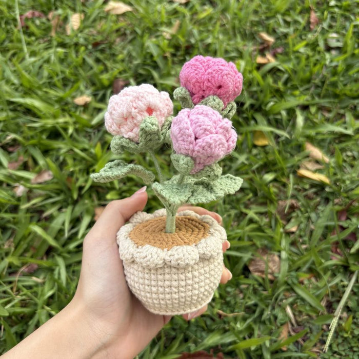 Bonsai (Potted Flower)