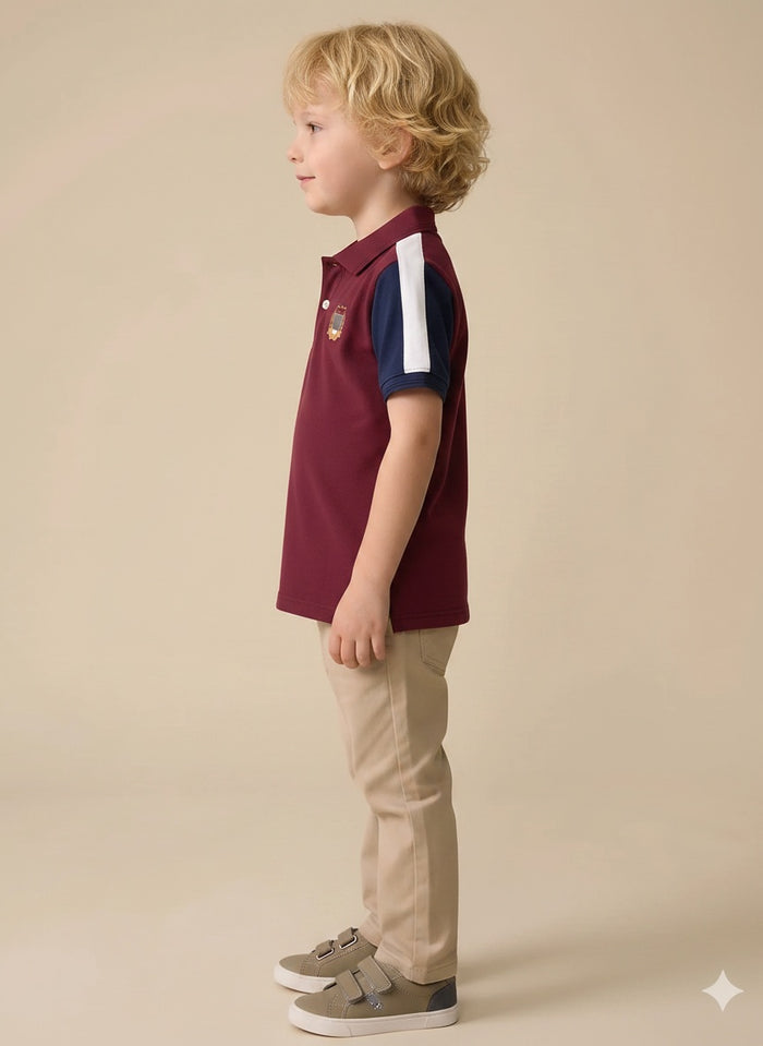Boys Merlot Printed Polo Collar T-shirt