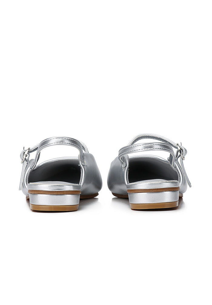 Eurig Pointed Toe Flats & Ballerina (Silver)