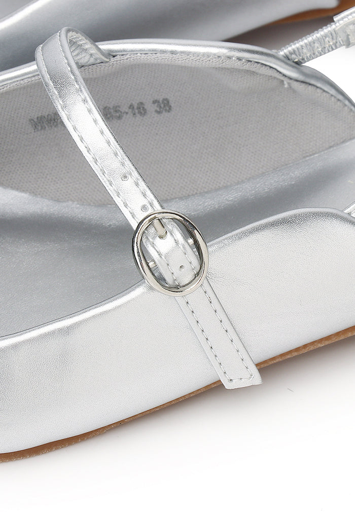 Eurig Pointed Toe Flats & Ballerina (Silver)
