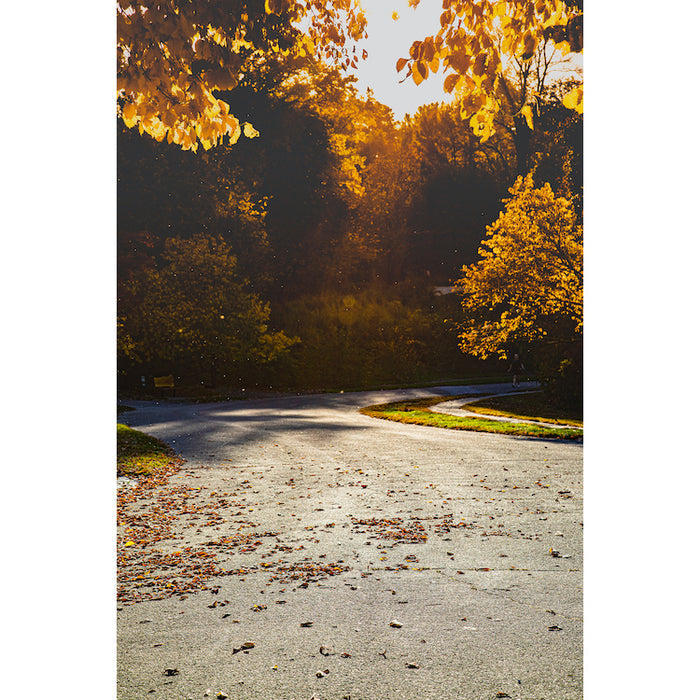 Fall Street