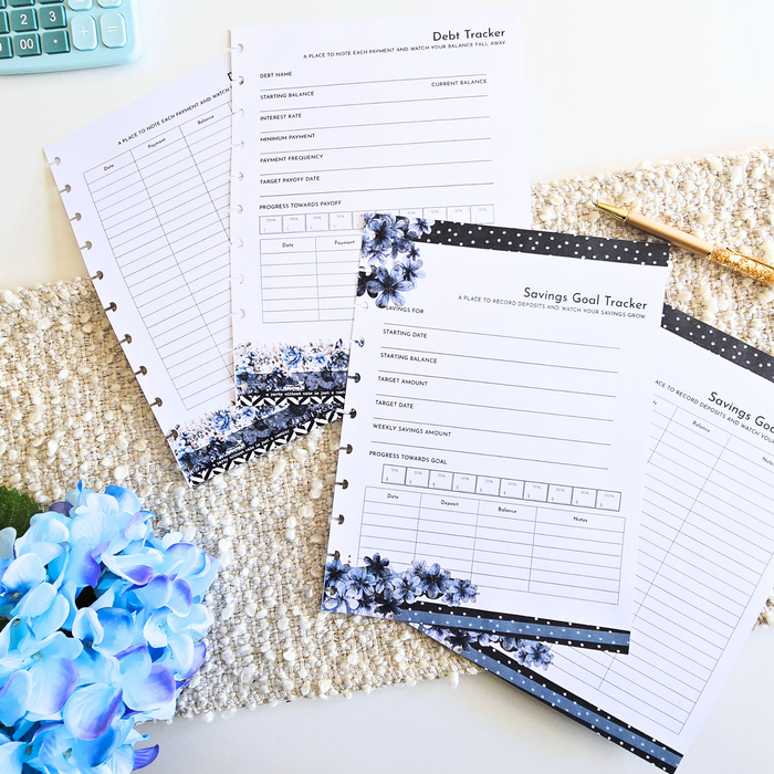 Financial Clarity Core Inserts | Azure Blooms