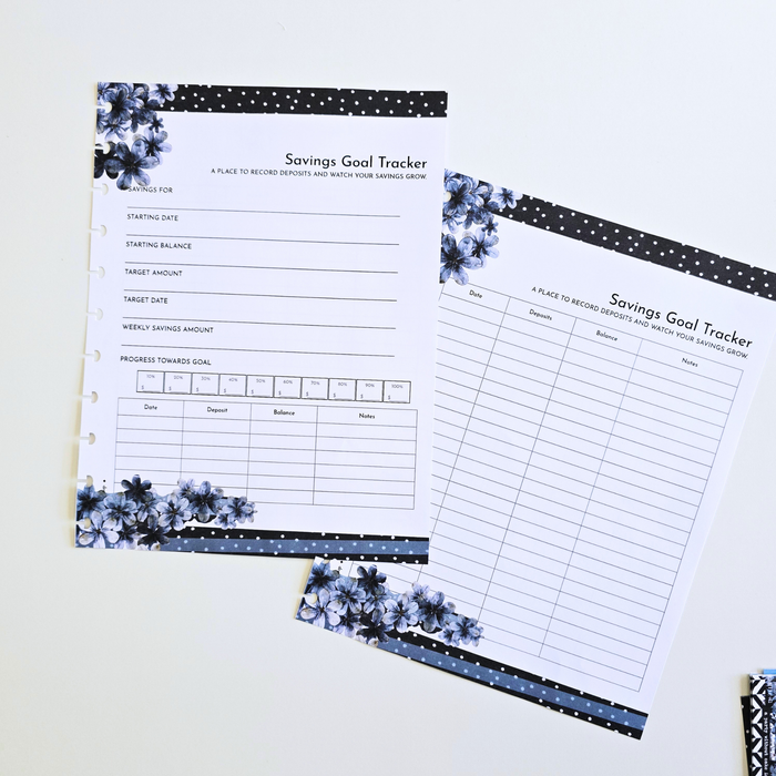 Financial Clarity Expansion Inserts | Azure Blooms