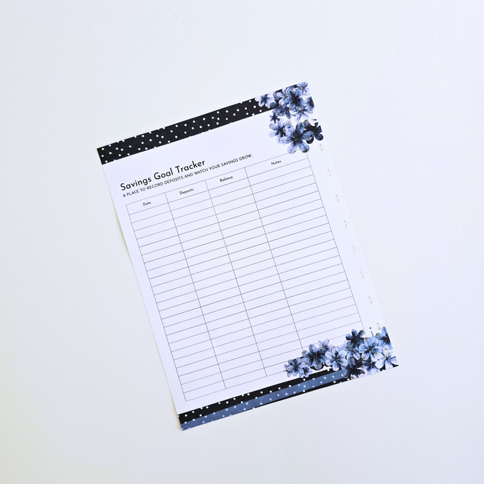Financial Clarity Expansion Inserts | Azure Blooms