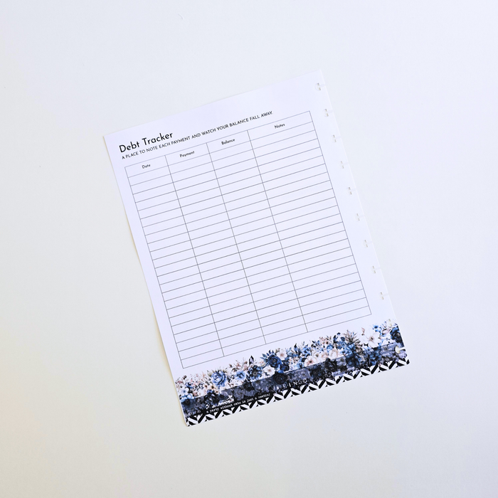 Financial Clarity Expansion Inserts | Azure Blooms