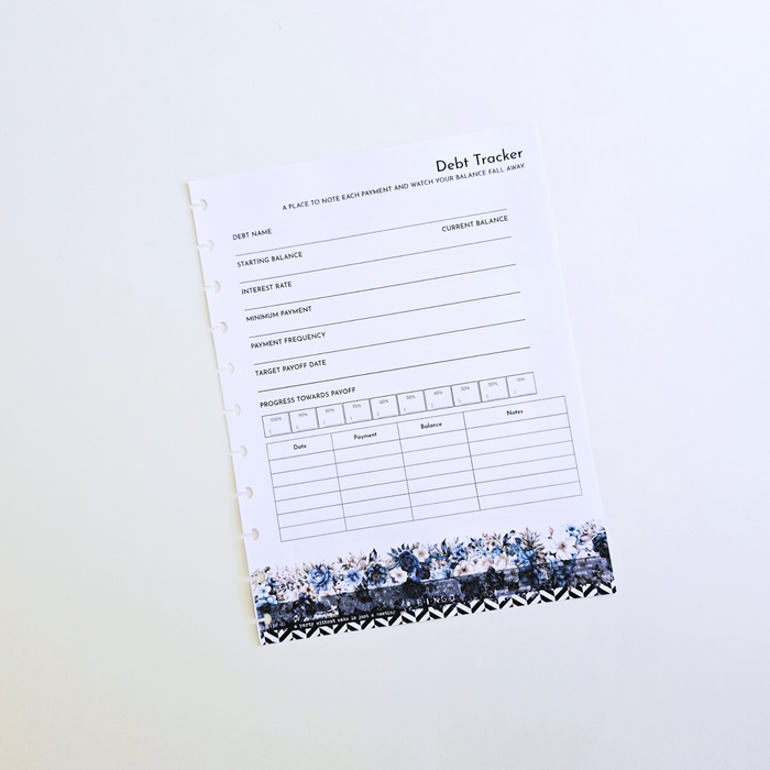 Financial Clarity Expansion Inserts | Azure Blooms