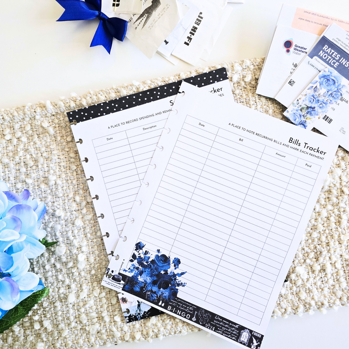 Financial Tracker Inserts | Azure Blooms