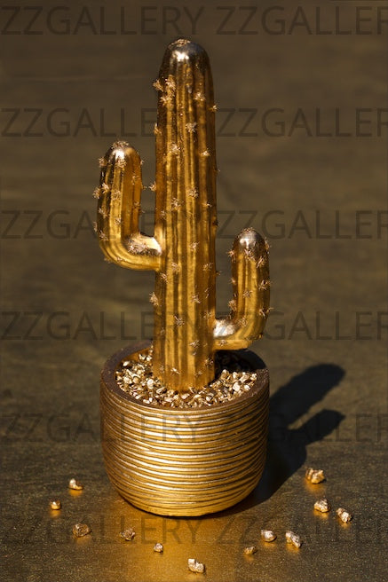 Golden Cactus – Luxury Fine Art Photography for Modern Interiors