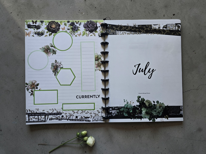 Memory Keeping Extension Inserts | Arbor Designs
