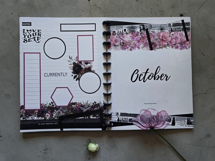 Memory Keeping Extension Inserts | Whisper Dreams