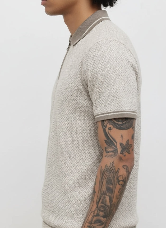 Men Arctic Wolf Polo Collat Solid T-Shirt