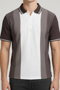 Men Chocolate Colourblocked Polo Collar T-shirt