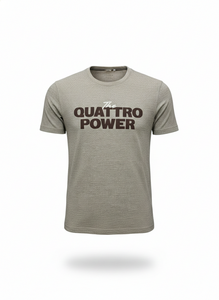 Men Linen Melange T-shirt