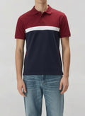 Men Merlot Colourblocked Polo Collar T-shirt