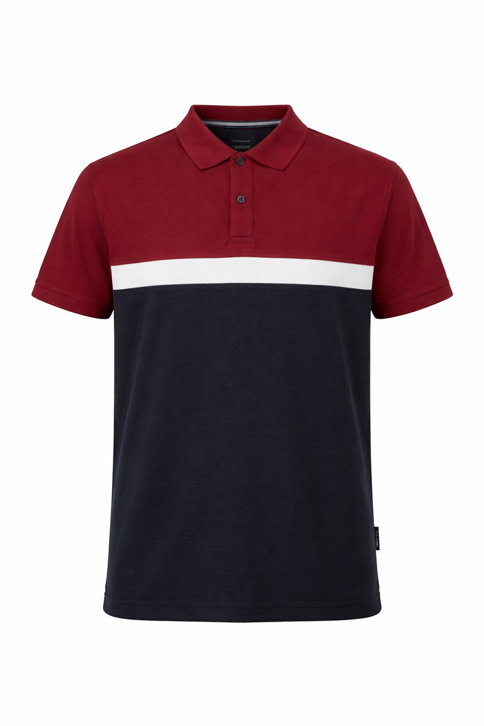 Men Merlot Colourblocked Polo Collar T-shirt