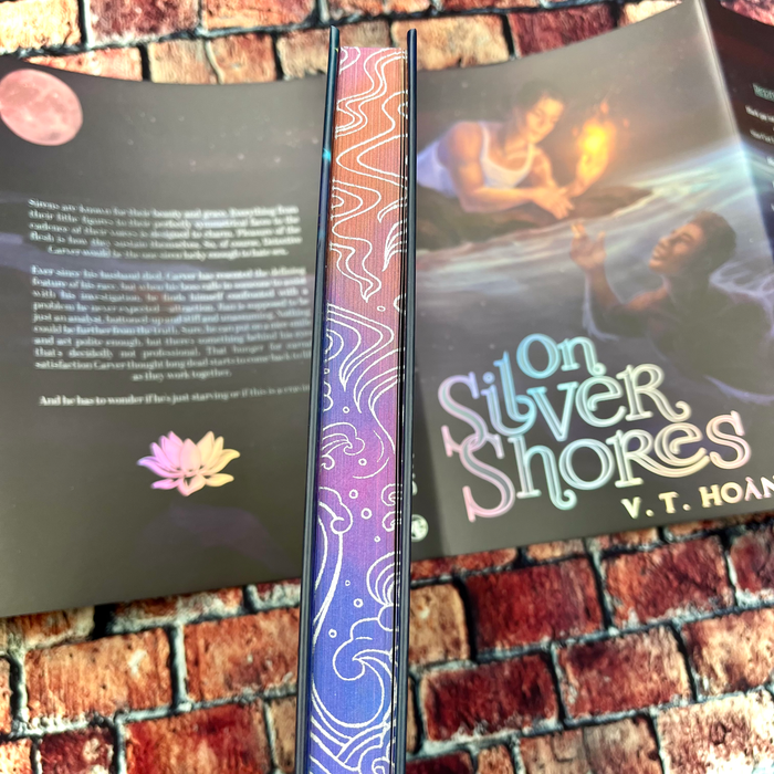 On Silver Shores by V. T. Hoàng