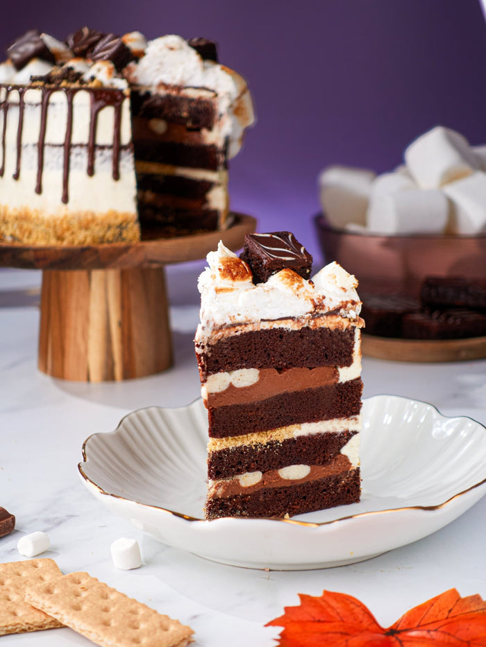 Slice of S'mores Cake showing chocolate sponge, marshmallow and biscuit layers