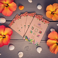 Packaged Sticker Book Summer by dream.design.bloom, boutique discbound planner accessory featuring summer-themed planner stickers