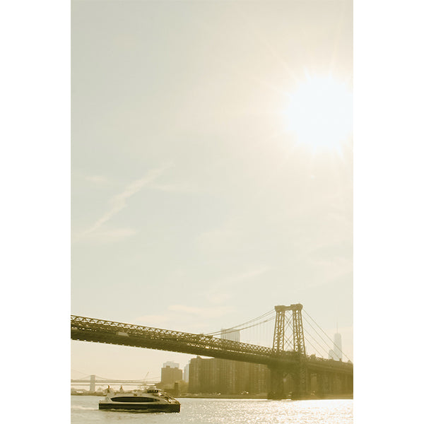 Sunny Day