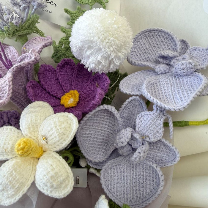 Viola