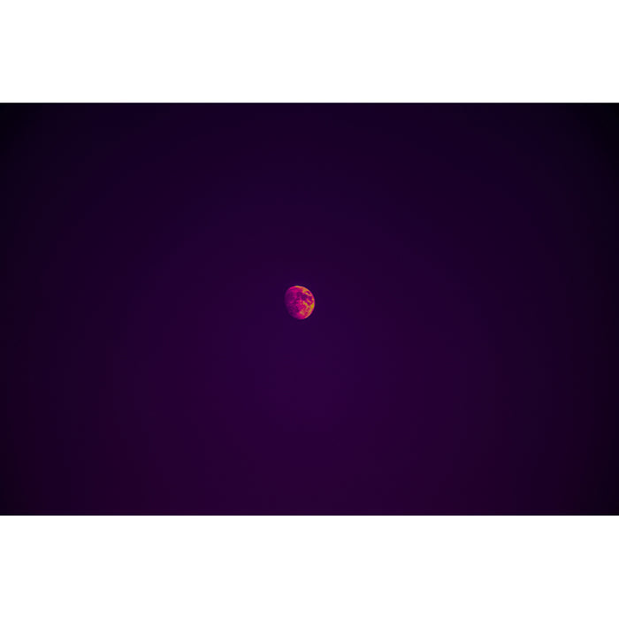 Violaceum Luna